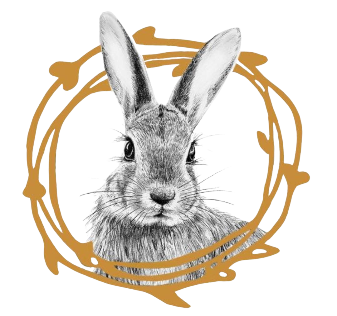 Design sem nome (2)